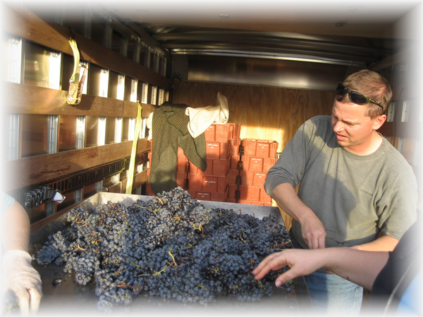 The Wine maker